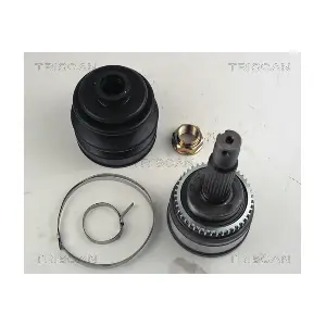 21744 SPIDAN
