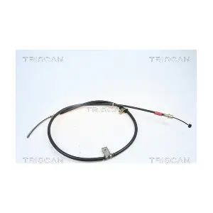 30211 TRISCAN