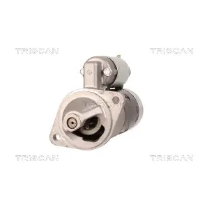 8305 10097 TRISCAN