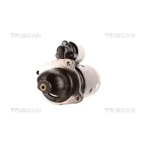 8305 10119 TRISCAN