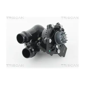 8600 29057H TRISCAN