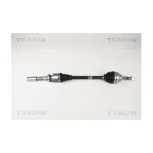 8540 25604 TRISCAN