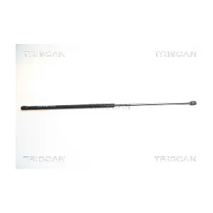 8710 65103 TRISCAN