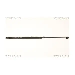8710 67212 TRISCAN