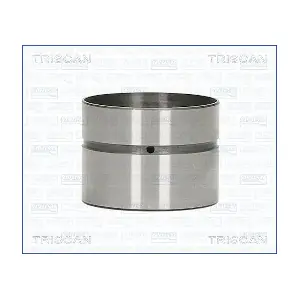 80-29007 TRISCAN