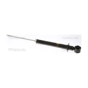 8705 24204 TRISCAN