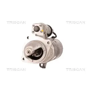 8305 10013 TRISCAN