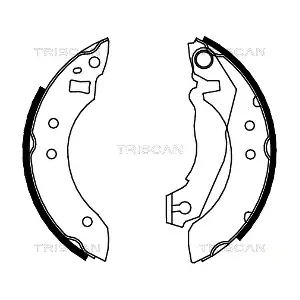 810016355 TRISCAN