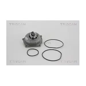 860017011 TRISCAN