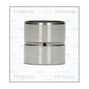 80-29001 TRISCAN