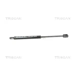 8710 2005 TRISCAN