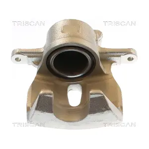 8175 13138 TRISCAN