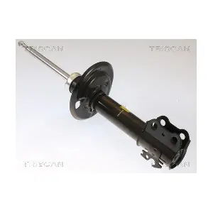 870513108 TRISCAN