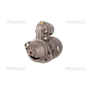 8305 10117 TRISCAN
