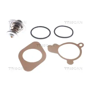 8620 2387 TRISCAN