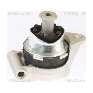 8505 24117 TRISCAN