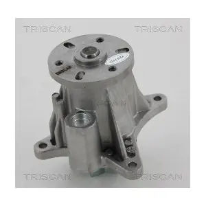 860017013 TRISCAN