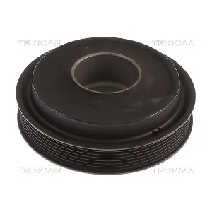 204166 TRISCAN