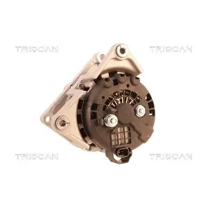 8310 29063 TRISCAN