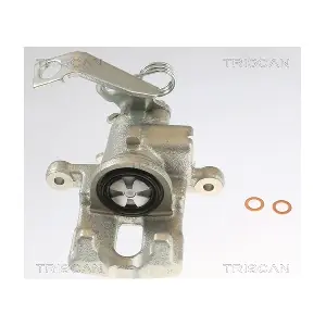8175 40209 TRISCAN