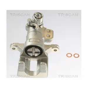 8175 10227 TRISCAN