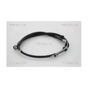 13851 TRISCAN