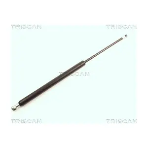 8710 25209 TRISCAN