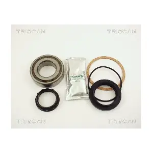 8530 16217A TRISCAN