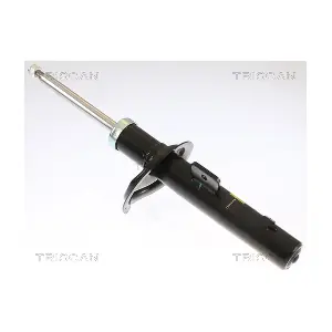 870528102 TRISCAN