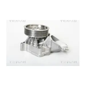 PA10135 TRISCAN