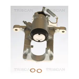 8175 24210 TRISCAN