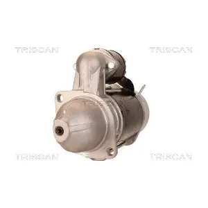8305 10048 TRISCAN