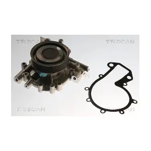 860024020V TRISCAN
