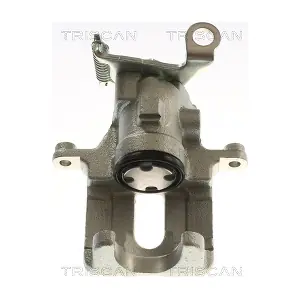8175 16207 TRISCAN
