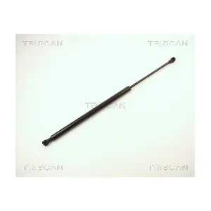 8710 13260 TRISCAN