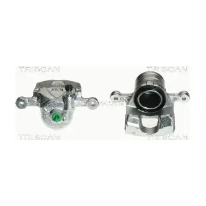 8170 342021 TRISCAN