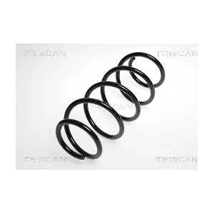 875029168 TRISCAN
