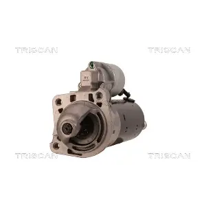 8305 10030 TRISCAN