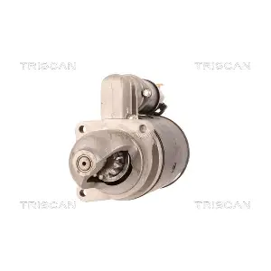 8305 43019 TRISCAN