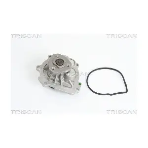 860024018 TRISCAN