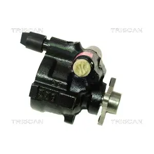 8515 25613 TRISCAN