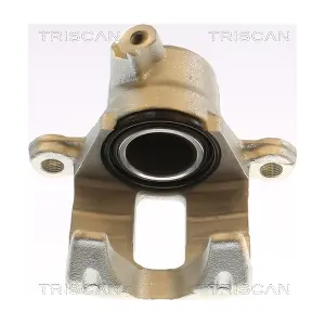 8175 13226 TRISCAN