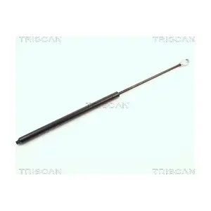 8710 1615 TRISCAN