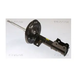 870515105 TRISCAN