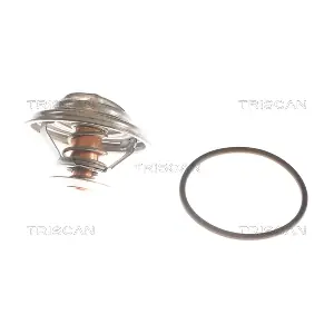 8620 6282 TRISCAN