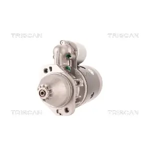 8305 10094 TRISCAN