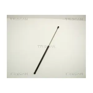 312008 TRISCAN