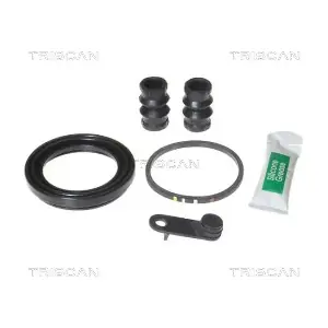 8170 205476 TRISCAN
