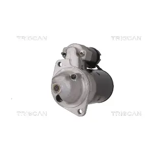 8305 10008 TRISCAN