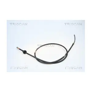 17161 TRISCAN